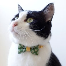 画像4: 森のティーパーティーコレクションI柄・リボン猫首輪 (4)