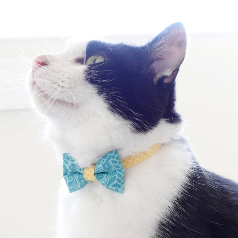 画像1: 森のティーパーティーコレクションK柄・リボン猫首輪