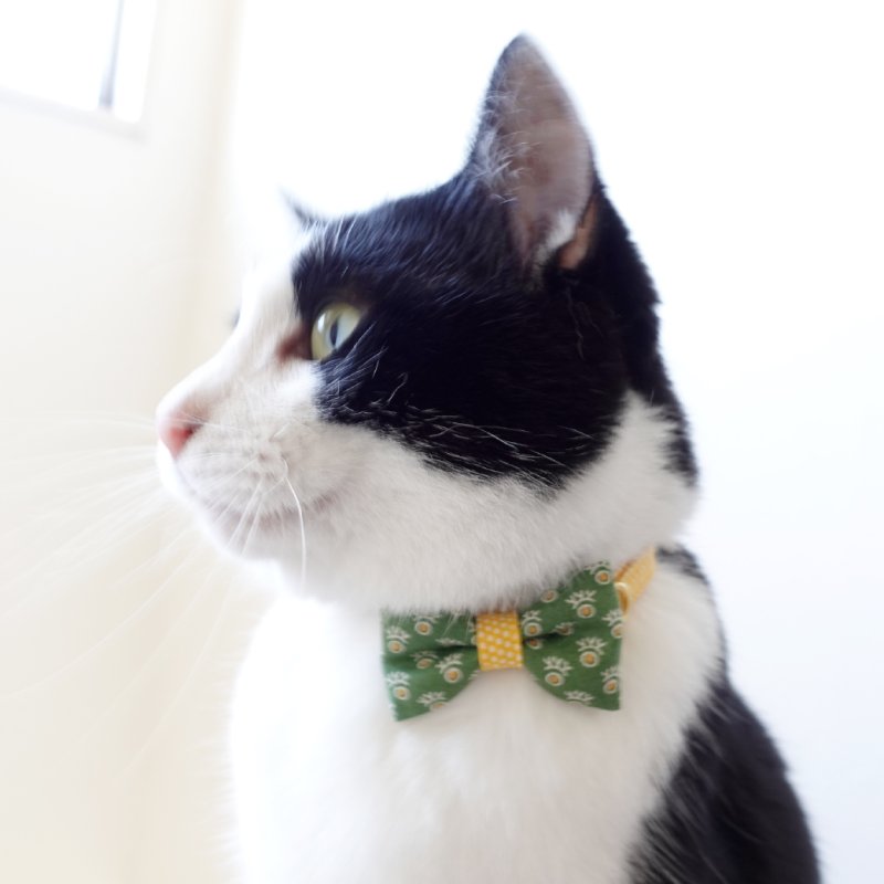 画像1: 森のティーパーティーコレクションI柄・リボン猫首輪