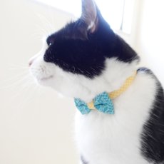 画像3: 森のティーパーティーコレクションM柄・リボン猫首輪 (3)