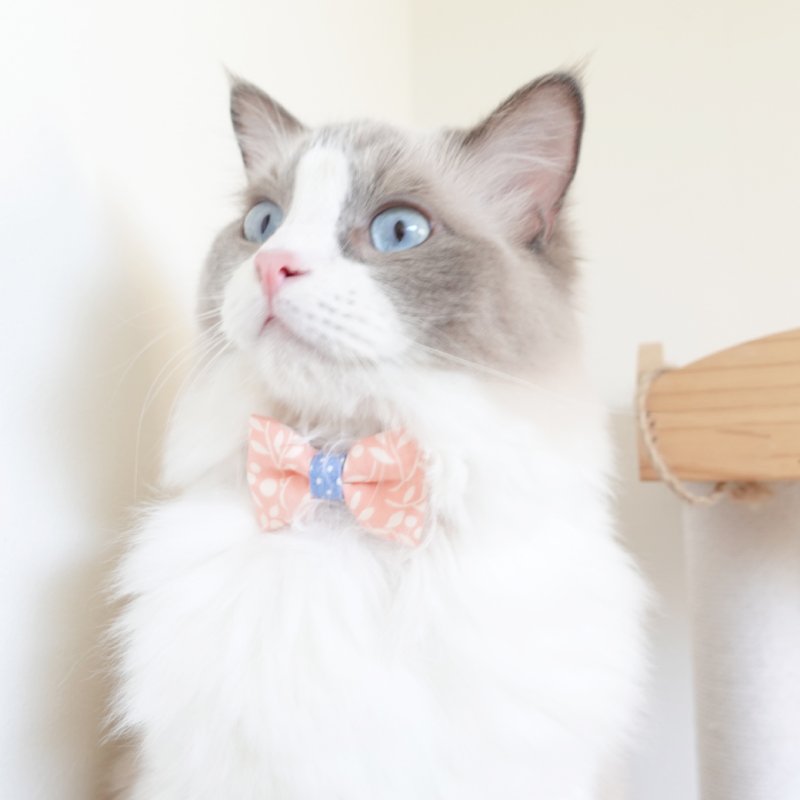 画像3: 森のティーパーティーコレクションC柄・リボン猫首輪