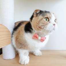 画像4: 森のティーパーティーコレクションM柄・リボン猫首輪 (4)