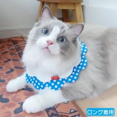 画像3: ブルーハワイソーダ/猫のスタイ首輪/ダブル衿【ショートタイプ】 (3)