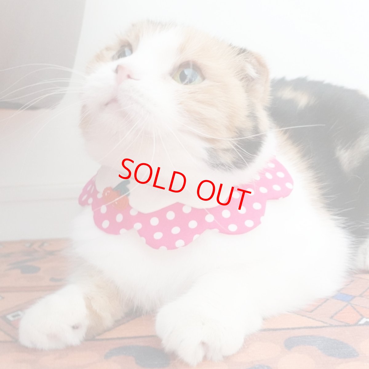 画像10: レモンクリームソーダ/猫のスタイ首輪/ダブル衿【ショートタイプ】 (10)