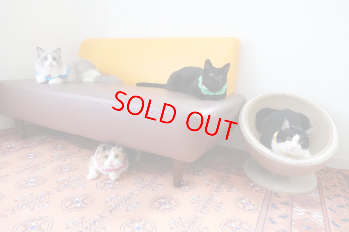 画像11: ストロベリークリームソーダ/猫のスタイ首輪/ダブル衿【ショートタイプ】 (11)