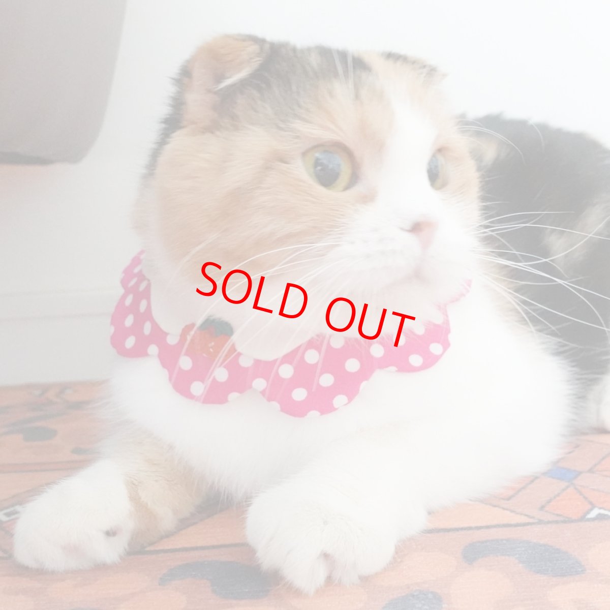 画像9: レモンクリームソーダ/猫のスタイ首輪/ダブル衿【ショートタイプ】 (9)