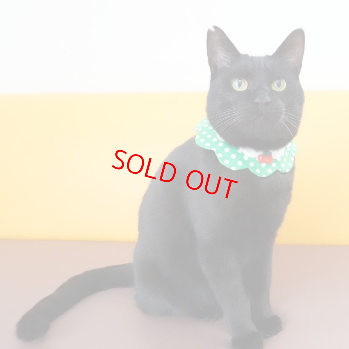 画像8: レモンクリームソーダ/猫のスタイ首輪/ダブル衿【ショートタイプ】 (8)