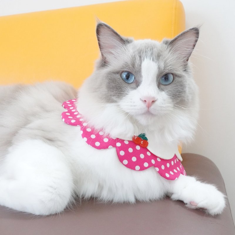 画像3: ストロベリークリームソーダ/猫のスタイ首輪/ダブル衿【ロングタイプ】