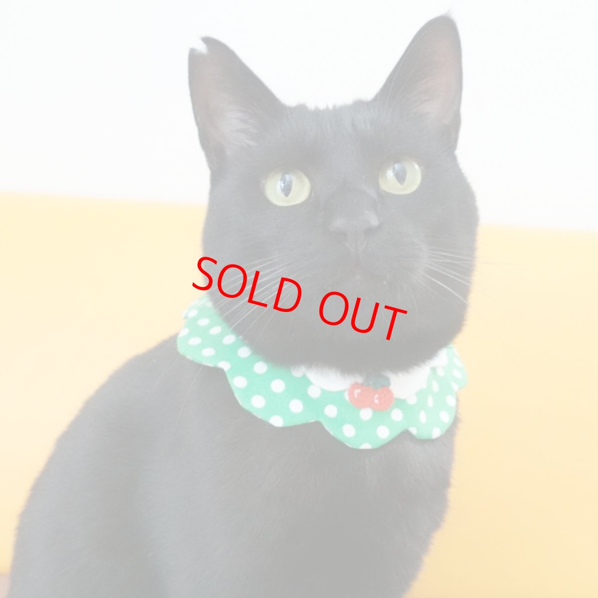 画像7: レモンクリームソーダ/猫のスタイ首輪/ダブル衿【ショートタイプ】 (7)