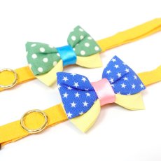 画像4: IRODORI・猫首輪・シンプル猫首輪/山吹色無地（リボン等の飾りパーツは別売りです） (4)