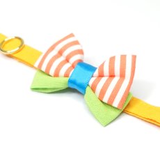 画像15: IRODORI・猫首輪・シンプル猫首輪/山吹色無地（リボン等の飾りパーツは別売りです） (15)