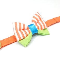 画像6: IRODORI・猫首輪・シンプル猫首輪/オレンジ無地（リボン等の飾りパーツは別売りです） (6)