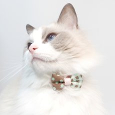 画像8: 子猫用・スイーツみたいに可愛い猫用首輪 ― Nonbillie 夢みるパティシエシリーズ （E柄） (8)