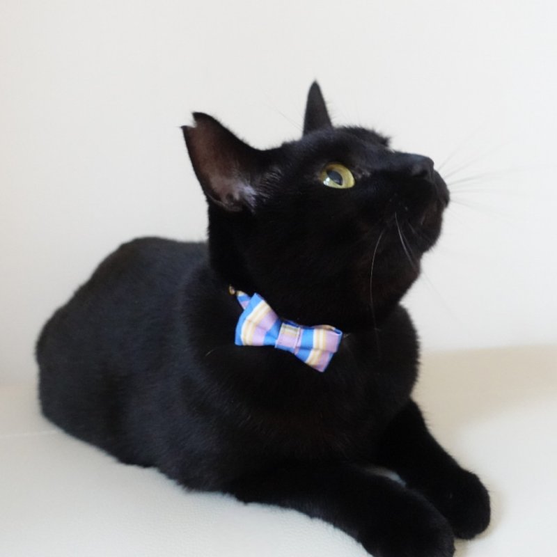 画像1: Nonbillieオリジナルボーダー柄・リボン猫首輪(パープル×ブルー)