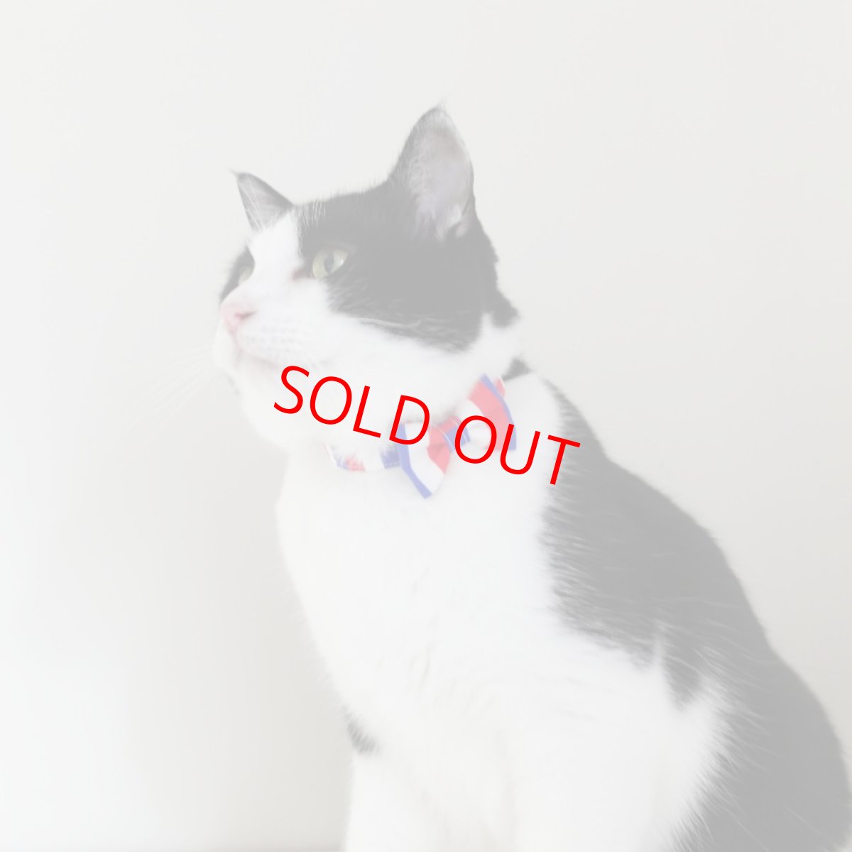 画像6: Nonbillieオリジナルボーダー柄・リボン猫首輪（ターコイズブルー×イエローグリーン） (6)