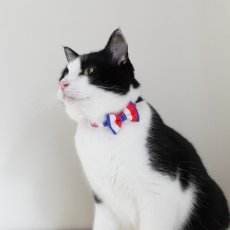 画像9: Nonbillieオリジナルボーダー柄・リボン猫首輪（クリーム×オレンジドット） (9)