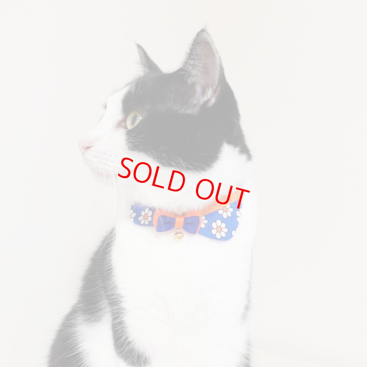 画像13: リボンチャーミー衿付首輪＆鈴付きダブルリボン（レトロなお花さんグリーン）オレンジ・グリーン２色展開 (13)