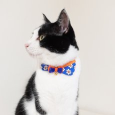 画像15: リボンチャーミー衿付首輪＆鈴付きダブルリボン（ポップコーン）オレンジ・グリーン２色展開 (15)