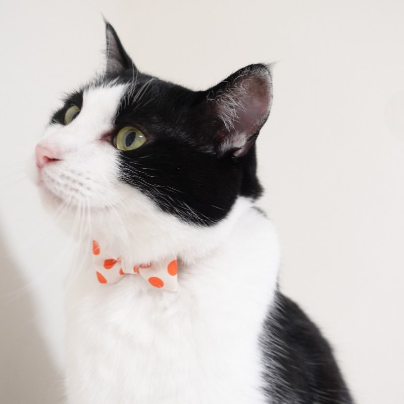 画像3: Nonbillieオリジナルボーダー柄・リボン猫首輪（クリーム×オレンジドット）