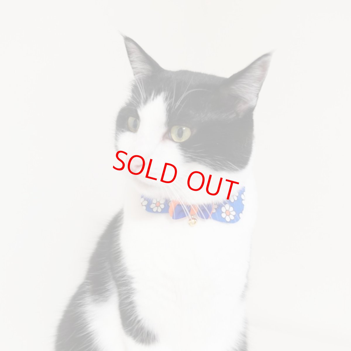 画像8: リボンチャーミー衿付首輪＆鈴付きダブルリボン（レトロなお花さんグリーン）オレンジ・グリーン２色展開 (8)