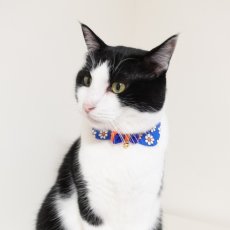 画像16: リボンチャーミー衿付首輪＆鈴付きダブルリボン（ポップコーン）オレンジ・グリーン２色展開 (16)