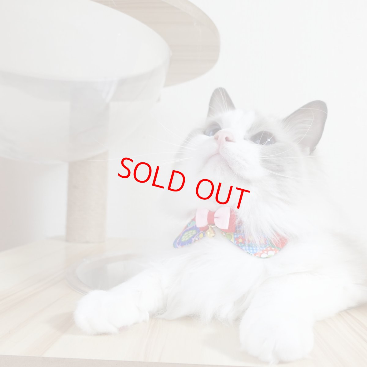 画像15: リボンチャーミー衿付首輪＆鈴付きダブルリボン（レトロなお花さんグリーン）オレンジ・グリーン２色展開 (15)