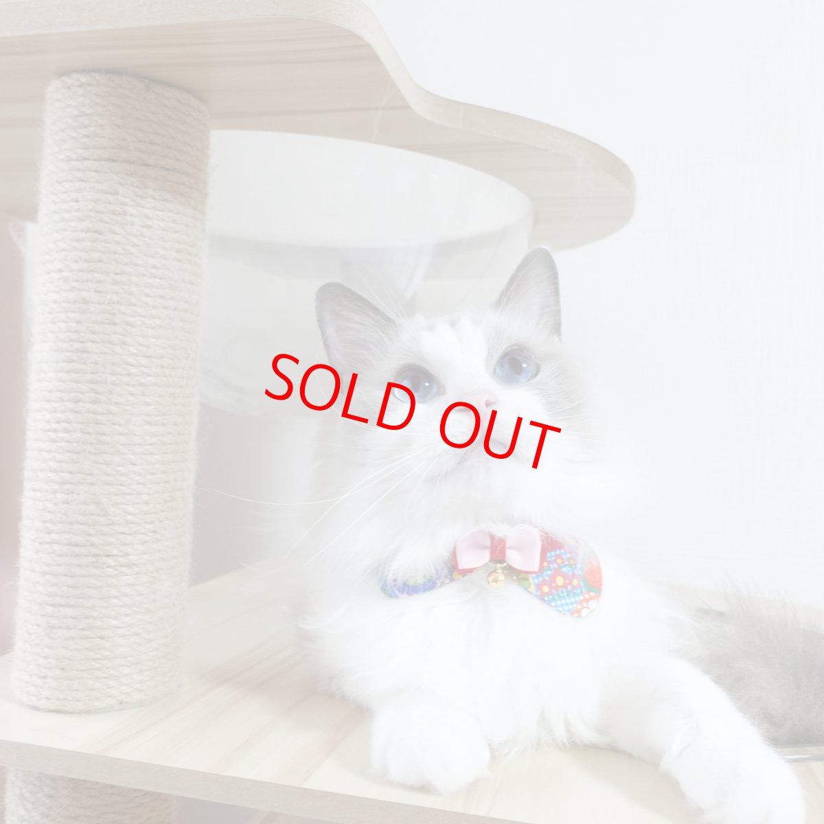 画像14: リボンチャーミー衿付首輪＆鈴付きダブルリボン（レトロなお花さんグリーン）オレンジ・グリーン２色展開 (14)