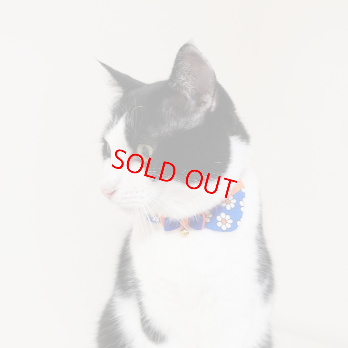 画像12: リボンチャーミー衿付首輪＆鈴付きダブルリボン（レトロなお花さんグリーン）オレンジ・グリーン２色展開 (12)