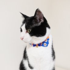 画像14: リボンチャーミー衿付首輪＆鈴付きダブルリボン（ポップコーン）オレンジ・グリーン２色展開 (14)