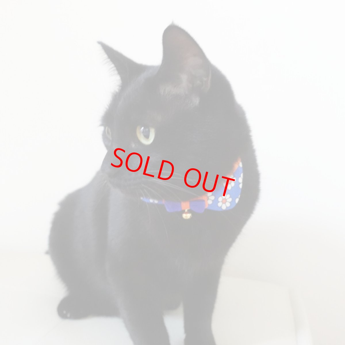 画像9: リボンチャーミー衿付首輪＆鈴付きダブルリボン（レトロなお花さんグリーン）オレンジ・グリーン２色展開 (9)