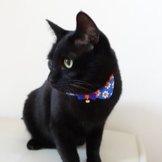 画像12: リボンチャーミー衿付首輪＆鈴付きダブルリボン（ポップコーン）オレンジ・グリーン２色展開 (12)