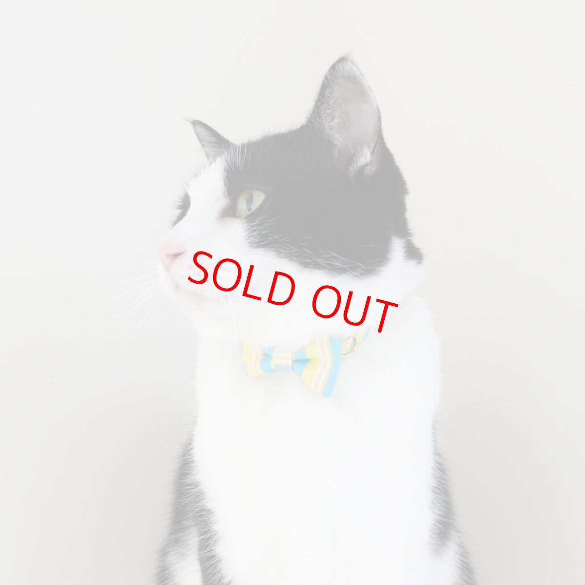 画像3: Nonbillieオリジナルボーダー柄・リボン猫首輪（ターコイズブルー×イエローグリーン） (3)