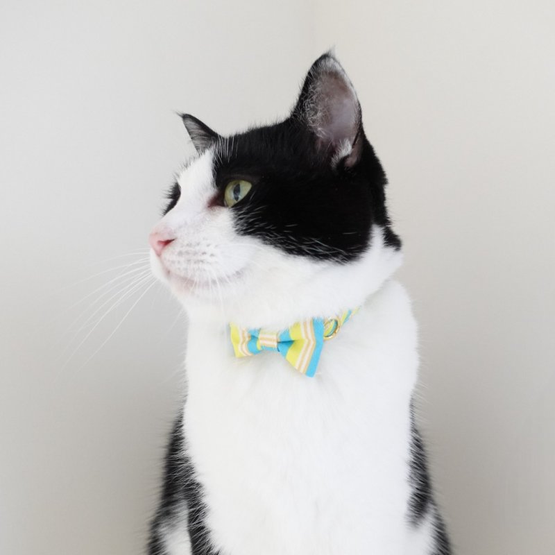 画像2: Nonbillieオリジナルボーダー柄・リボン猫首輪（ターコイズブルー×イエローグリーン）