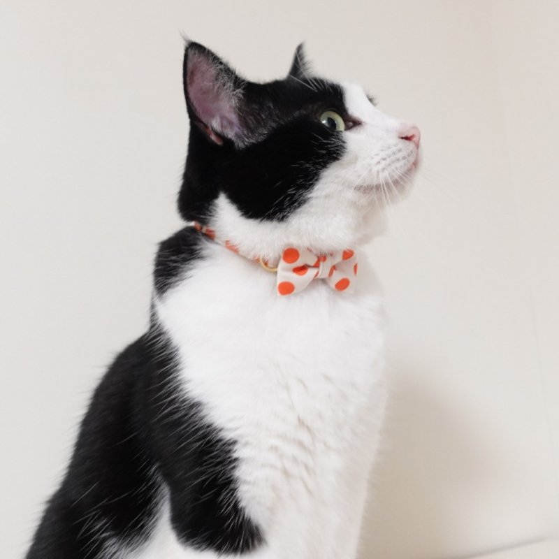 画像2: Nonbillieオリジナルボーダー柄・リボン猫首輪（クリーム×オレンジドット）