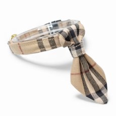 画像1: クラシカル・ノバチェック/ネクタイ首輪 (1)