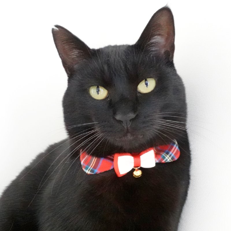 画像1: リボンチャーミー衿付首輪&鈴付きダブルリボン(レッドタータンチェック)Mサイズ