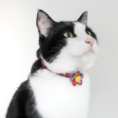 画像4: クラシカル・ミニタータンチェック・リボン首輪（レッド）×2カラー展開 (4)