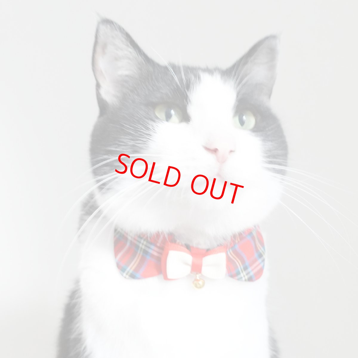 画像4: リボンチャーミー衿付首輪＆鈴付きダブルリボン（レッドタータンチェック）Mサイズ (4)