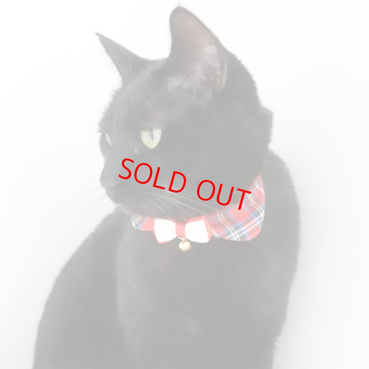 画像6: リボンチャーミー衿付首輪＆鈴付きダブルリボン（レッドタータンチェック）Mサイズ (6)