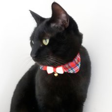 画像6: リボンチャーミー衿付首輪＆鈴付きダブルリボン（レッドタータンチェック）Mサイズ (6)