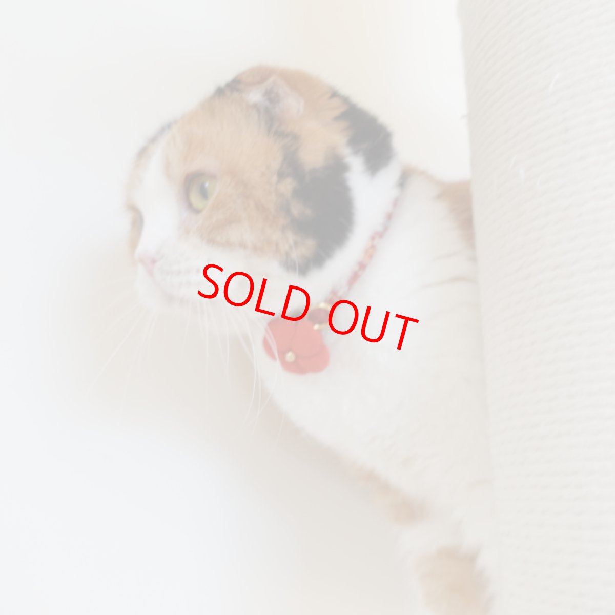 画像5: 梅モチーフの和柄首輪・ピンク色首輪（梅2色展開） (5)