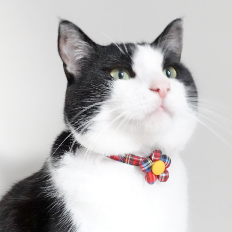 画像2: クラシカル・ミニタータンチェック・リボン首輪（レッド）×2カラー展開