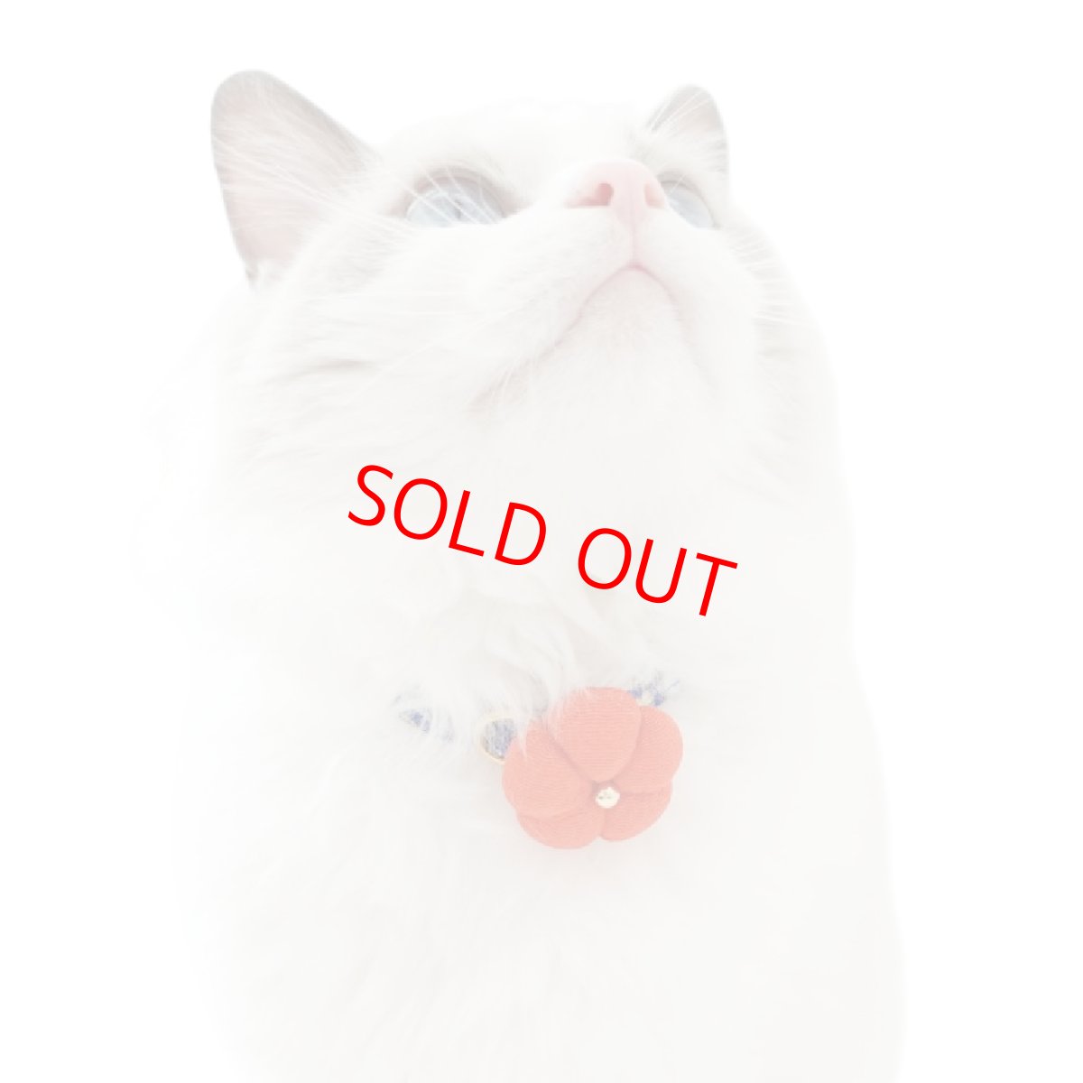 画像7: 梅モチーフの和柄首輪・ピンク色首輪（梅2色展開） (7)