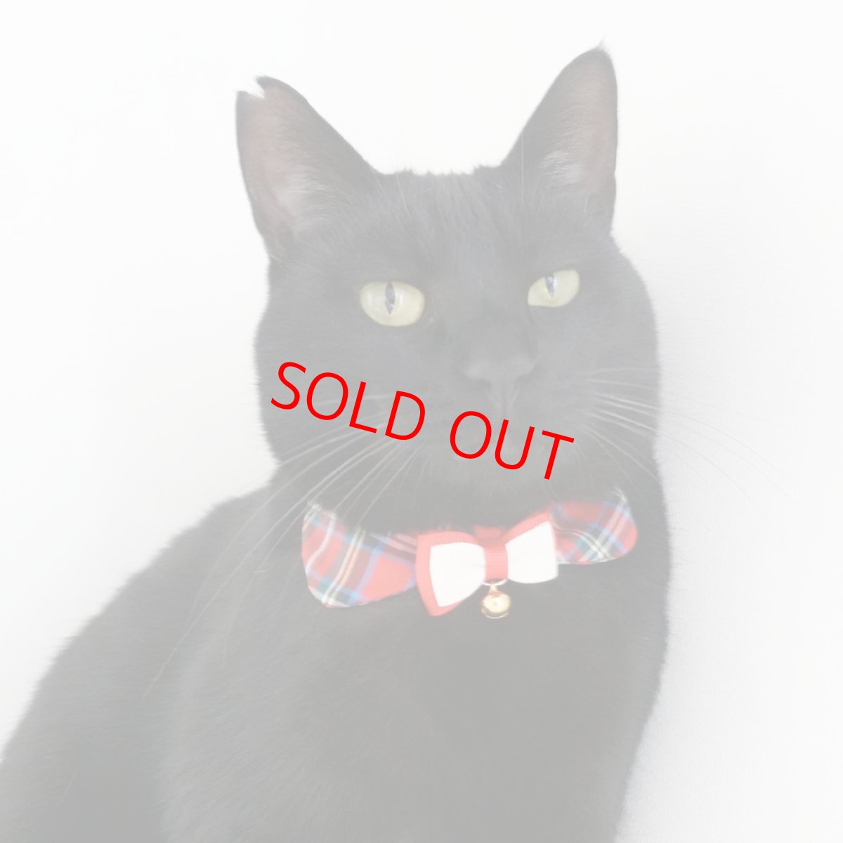 画像5: リボンチャーミー衿付首輪＆鈴付きダブルリボン（レッドタータンチェック）Mサイズ (5)