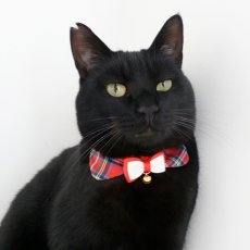 画像5: リボンチャーミー衿付首輪＆鈴付きダブルリボン（レッドタータンチェック）Mサイズ (5)