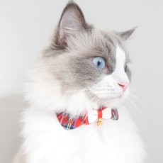 画像7: リボンチャーミー衿付首輪＆鈴付きダブルリボン（レッドタータンチェック）Mサイズ (7)