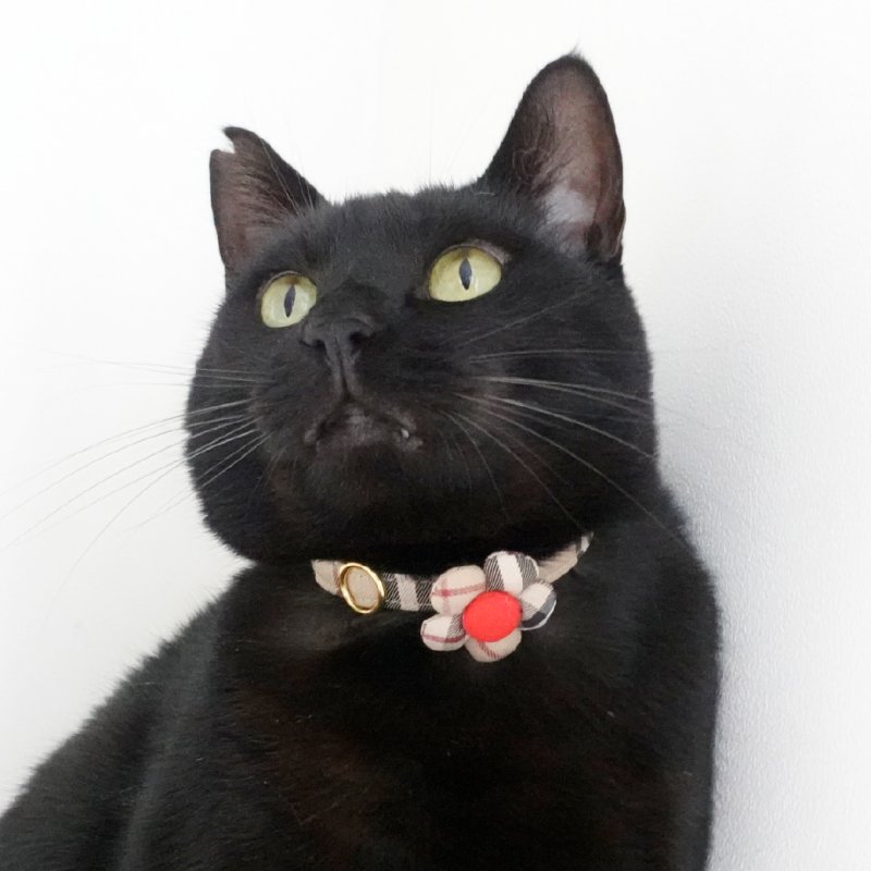 画像1: クラシカル・ノバチェック・リボン首輪×2カラー展開