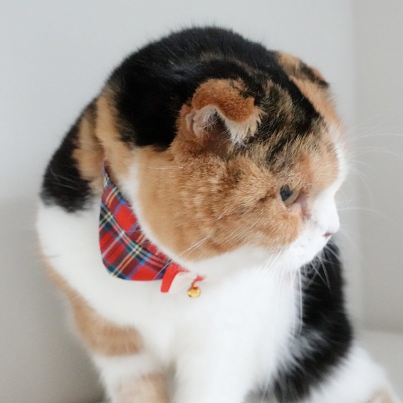 画像3: リボンチャーミー衿付首輪&鈴付きダブルリボン(レッドタータンチェック)Mサイズ