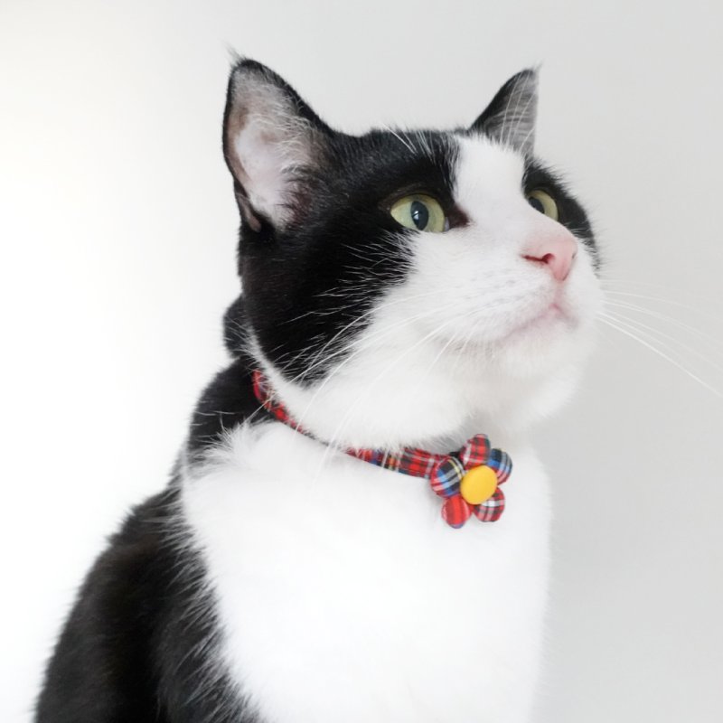 画像1: クラシカル・ミニタータンチェック・リボン首輪（レッド）×2カラー展開