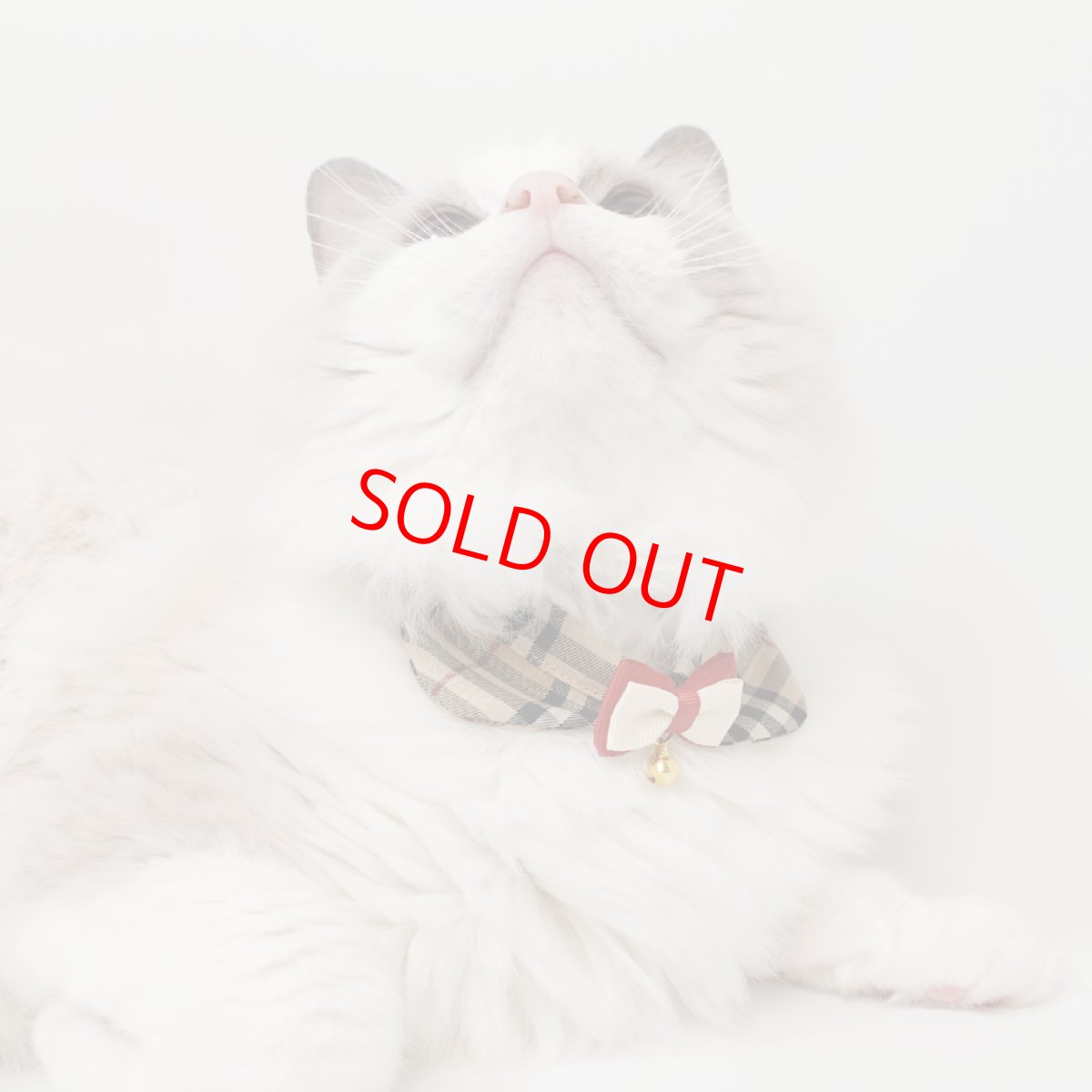 画像2: リボンチャーミー衿付首輪＆鈴付きダブルリボン（ノバチェック）Mサイズ (2)